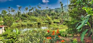 Aastha Villa - Wayanad - 3