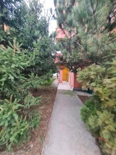 Pipera Stadion - Voluntari - 2