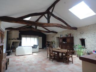 Aux vieilles vignes - Saugon - 9