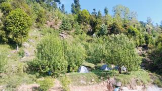 Bijli Mahdev Bite out cafe in camp - Jāmb - 2