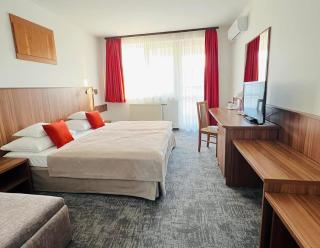 Art Hotel superior - Zalakaros - 8