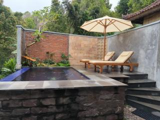 Ganayu Bali Villa - Munduk - 2