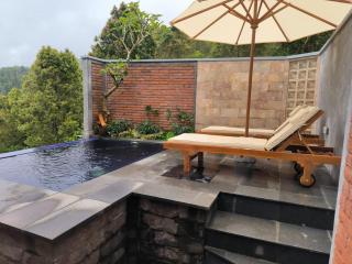 Ganayu Bali Villa - Munduk - 9