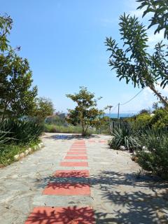 Villa Siesta gr - PalaiónTsiflíkion - 5