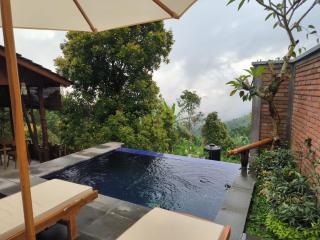 Ganayu Bali Villa - Munduk - 5