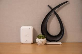 Brand New Designer Studio - Urban Retreat in JVC - 4