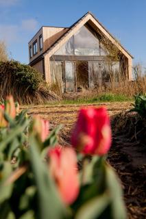Ecohome Storm 8personen en baby Zeezand Recreatie - 't Zand - 0