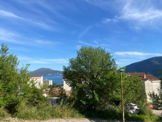 Jardin - Kravlja - 4