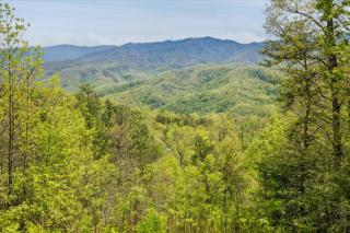 Dog Friendly, Hot Tub, Game Room, Pools, Golf - Gatlinburg - 4