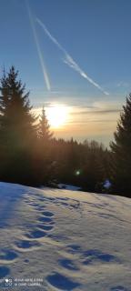 Zvuk Treske - Kopaonik - 8