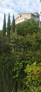 b&b binario nove e tre quarti - 9