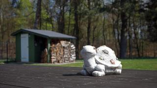 Zielony domek Drzewoszewo - 3