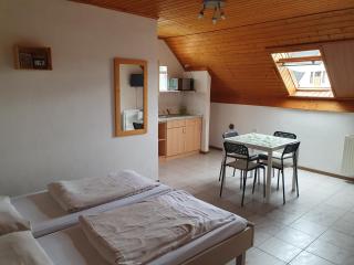 Főnix Üdülőház Zamárdi - 1