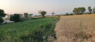 Traditional Village Farm Stay Nature & Peace in desi food - - 1