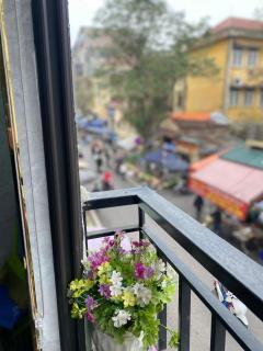 Green balcony sunlight - Hanoi - 1