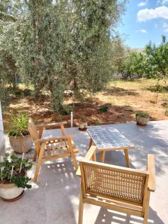 Maison calme avec jardin - Sakiet ez Zit - 5