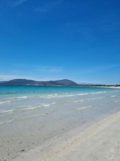 Lidoisola, aria condizionata,posto auto privato, ascensore - Alghero - 9