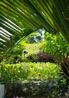 Coyaba private hilltop jungle retreat - Orange Bay - 7
