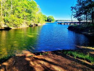 ClemsonILakesideIParkPassIPizzaOvenlYouTubeTVlFirePit - 4