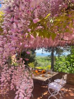 Villa Vittoria Tuscany new opening 2025 - Montaione - 4