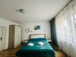 Casa Lidia - Rîu de Mori - 2
