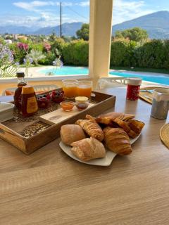 Duplex Oliveraie piscine au sel marin et parking - Nice - 9