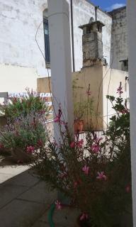 Barocco Dream-Nuova Gestione - Lecce - 8