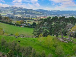 Pine Hill Cottage -Auckland - Tuakau - 0