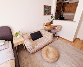 INNY Apartament Rynek Opole - Opole - 4