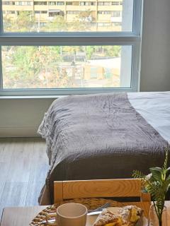 Luxury & Modern Apartment - Metro & Barrio Italia - Santiago - 5