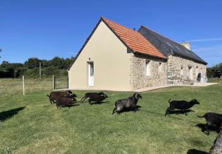 Petite Maison a 20mins de la Mer et de l'Ile de Brehat avec Menhirs et Moutons Ouessant - 8
