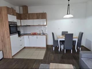 Apartman Mila lux Vrnjačka Banja - Vrnjačka Banja - 9