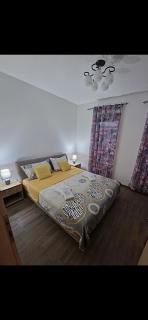 Apartman Mila lux Vrnjačka Banja - Vrnjačka Banja - 6