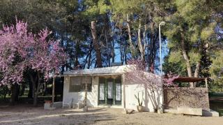 B&B Villa I 2 Leoni - 9