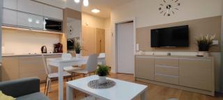 APARTAMENT MARINA - Kąty Rybackie 10 min, od Krynicy Morskiej - Kąty Rybackie - 5