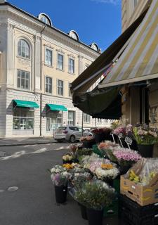 Frogner - Studio Apartment - Mai -Juni - Oslo - 8