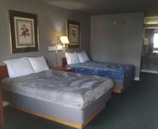2 Double Beds Hotel Studio 115 - Livingston - 0