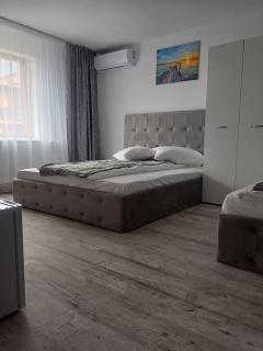 La Plantă-Therme Airport Bucharest - Baloteşti - 5