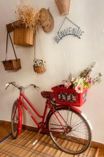 Le petit velo rouge - Arles - 0