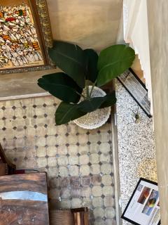 Riad dar malak - Marrakesh - 1
