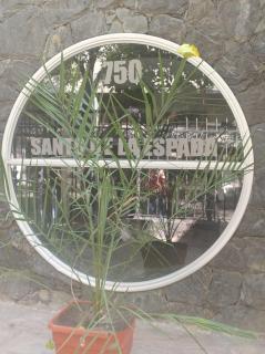 Dpto zona Aristides Con cochera - Mendoza - 3