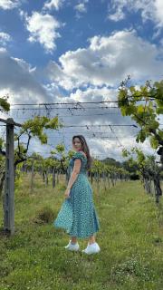 Poggio agli Ulivi - Frascati - 8