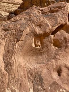 Flower Life Camp - Wadi Rum - 5