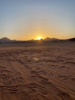 Flower Life Camp - Wadi Rum - 7