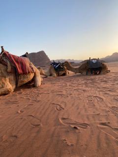 Flower Life Camp - Wadi Rum - 9