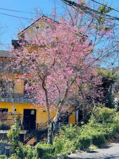 Villa Đà Lạt Trung Nghĩa - 8