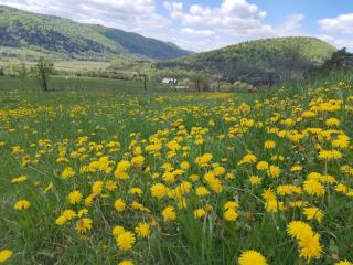 ORLIK - pokoje gościnne - 3