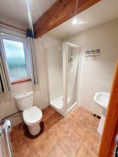 Cosy lodge 82 Hengar Manor - Michaelstow - 3