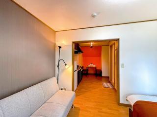 荣-和inn304 - Osaka - 4
