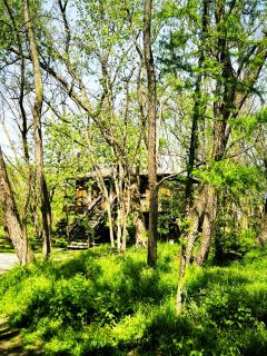 Porumbacu Treehouse - Porumbacu de Sus - 7